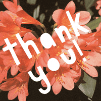 thank card image